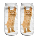 Beautiful Cat Socks